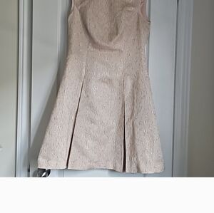 Ted Baker Blush Lace Fit & Flare Dress